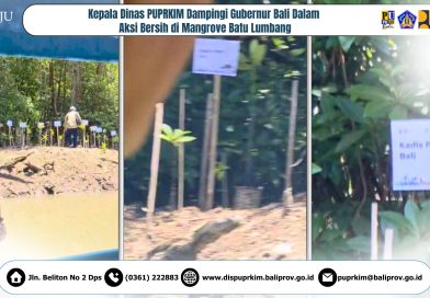 Kepala Dinas PUPRKIM Dampingi Gubernur Bali Dalam Aksi Bersih di Mangrove Batu Lumbang Kepala Dinas PUPRKIM Dampingi Gubernur Bali Dalam Aksi Bersih di Mangrove Batu Lumbang