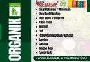 Ayo Pilah Sampah Dari Sumbernya – Pilah Sampah Organik, Anorganik, dan Residu